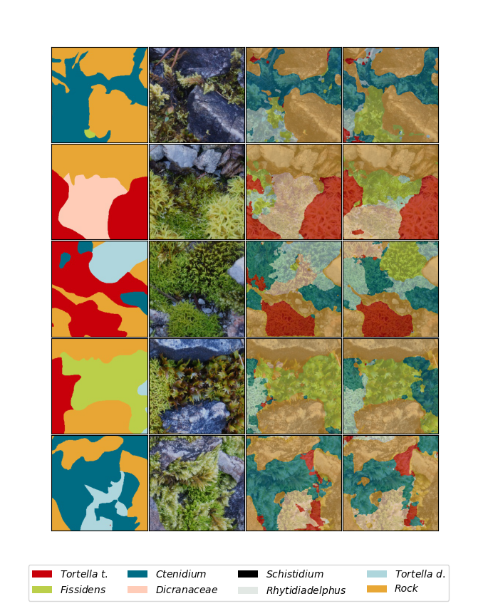 Semantic Segmentation