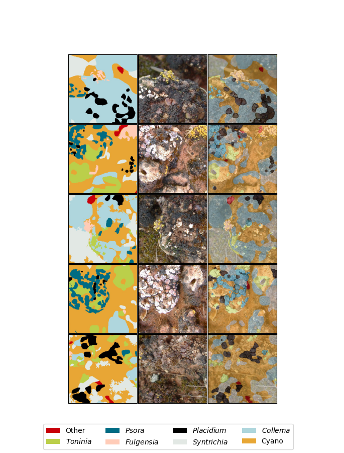 Semantic Segmentation